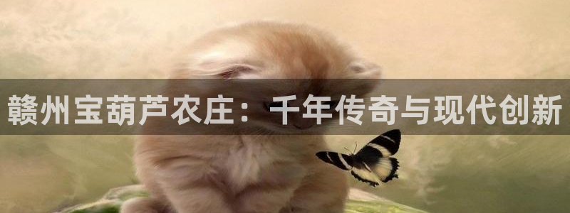 摩根中央公园娱乐
