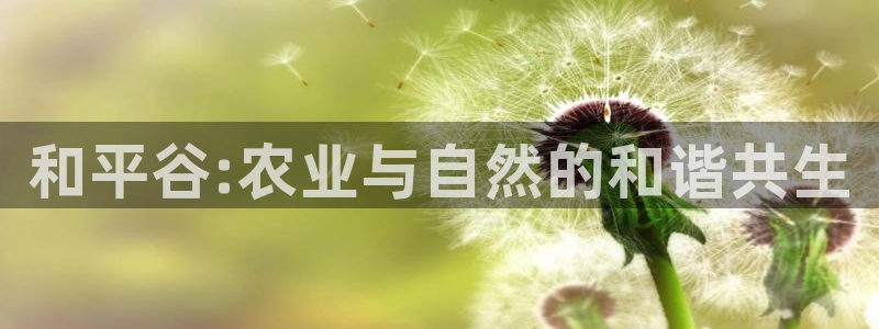 摩根娱乐宝正规吗