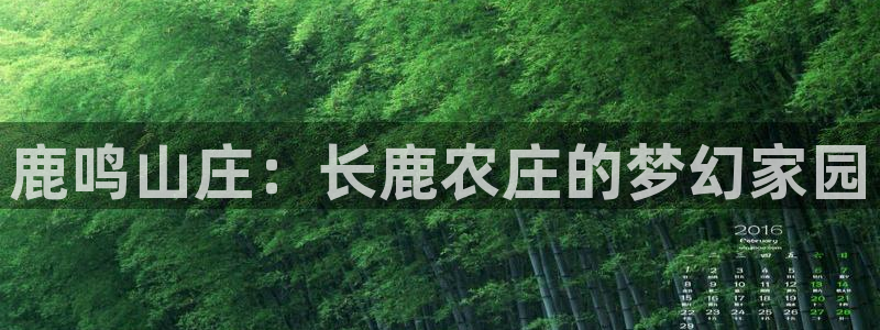 义乌摩根娱乐会所电话