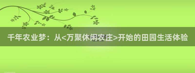 摩根娱乐宝总部招商