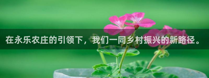 摩根娱乐宝可信吗