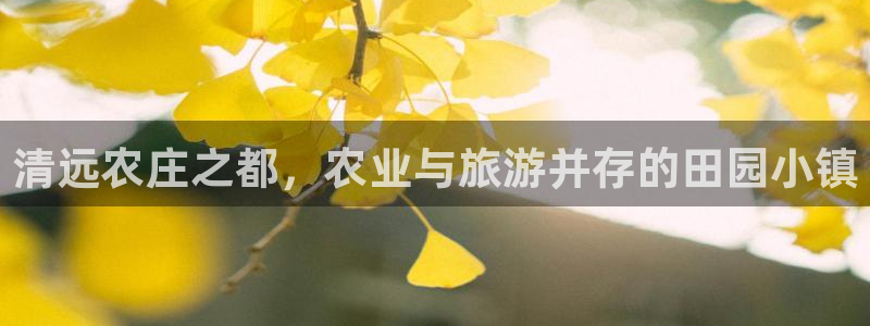 摩根娱乐宝怎么进入