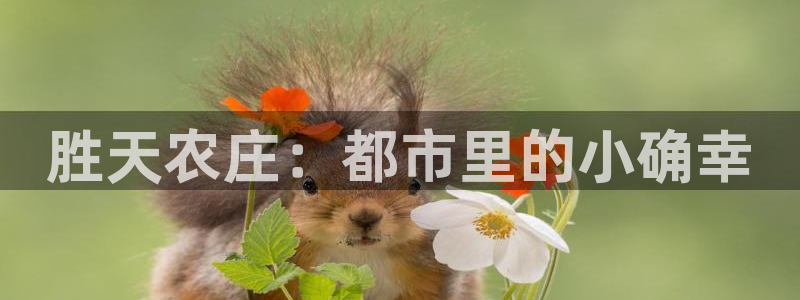 义乌摩根娱乐有限公司