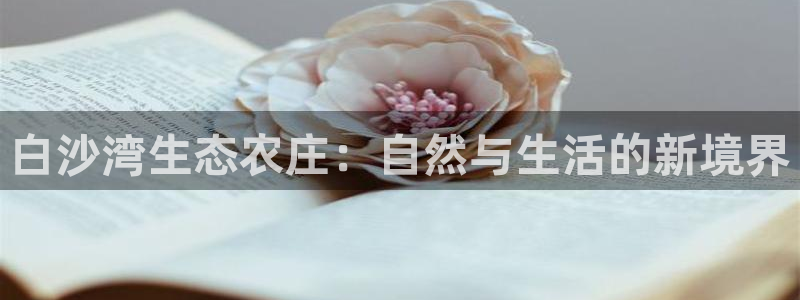 摩根士丹利凯撒娱乐