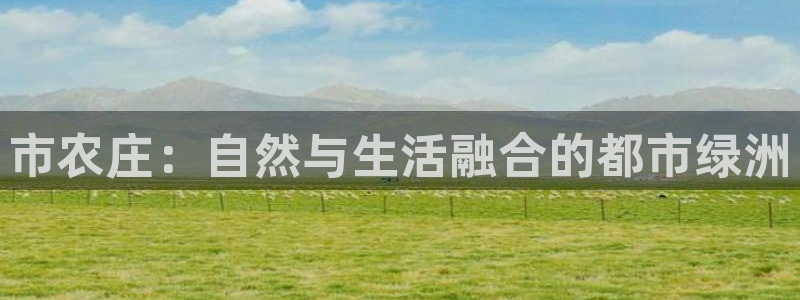 摩根娱乐宝平台下载