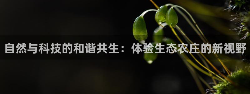 摩根娱乐宝诈骗