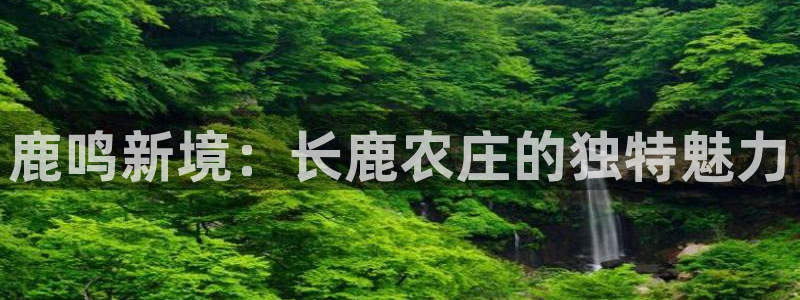 摩根娱乐 股s东50015