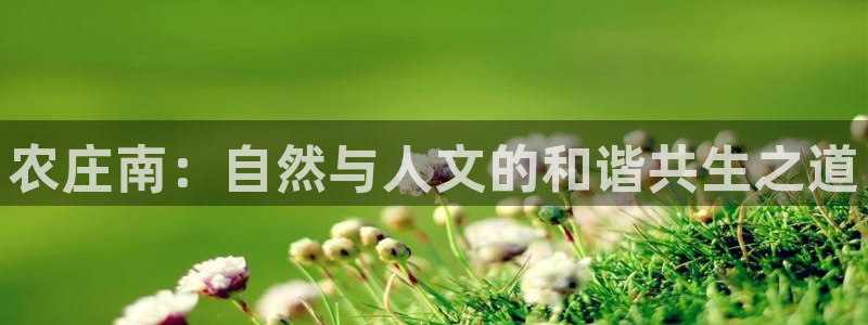 泉州摩根会娱乐场所