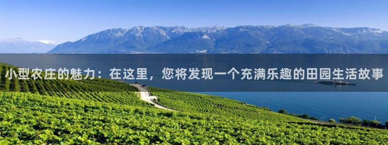 摩根娱乐宝机怎么玩