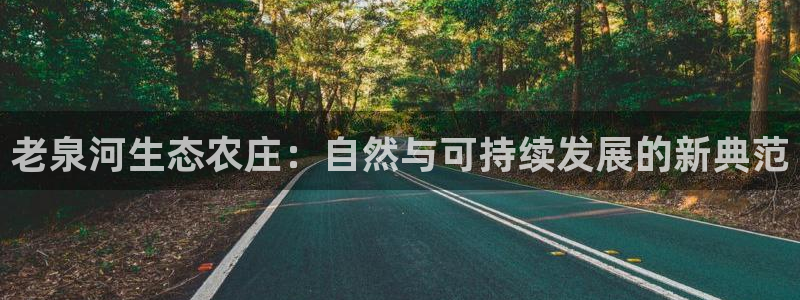 摩根娱乐宝登陆网址