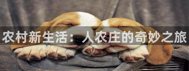 泉州摩根娱乐会所电话