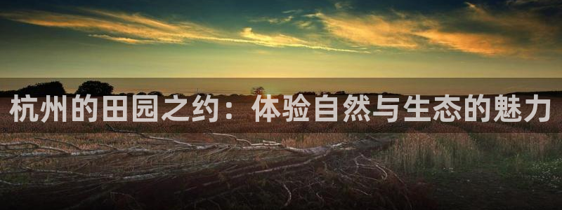 临平摩根娱乐会所地址