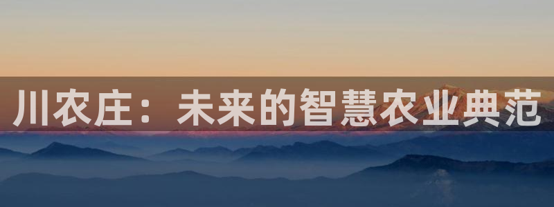 摩根娱乐登录入口网站