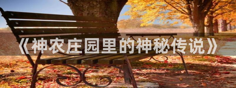 娱乐解说摩根