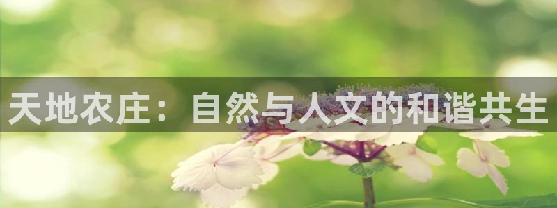 摩根国际娱乐宝合法吗
