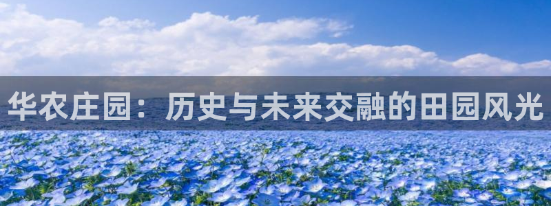 泉州白宫摩根娱乐会所