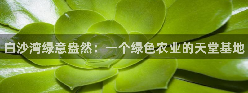 摩根娱乐是骗局吗?
