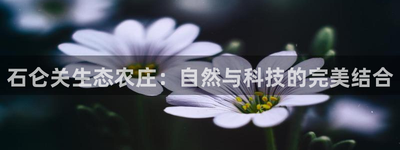 摩根娱乐 1老j板50820