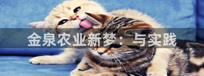 摩根娱乐↑总s管50015