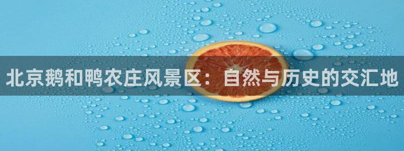 摩根娱乐是骗局吗