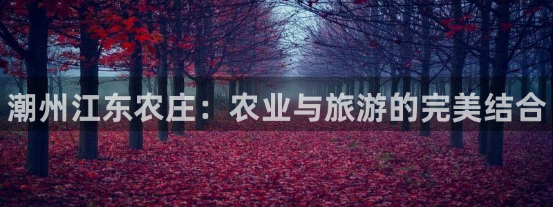 泉州摩根娱乐会所招聘