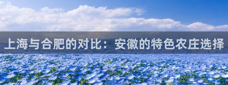 摩根娱乐宝机构代码