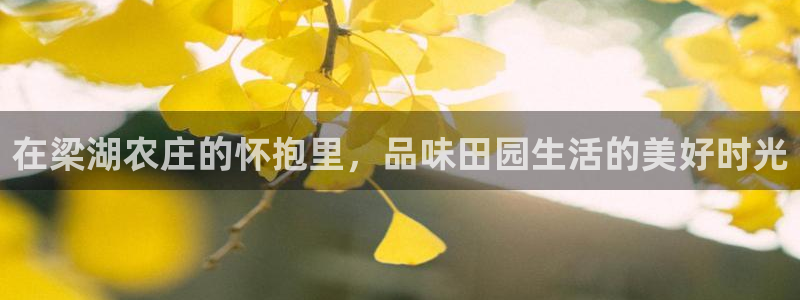 泉州摩根娱乐会所电话