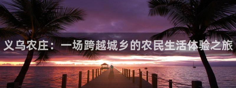 摩根娱乐宝口碑