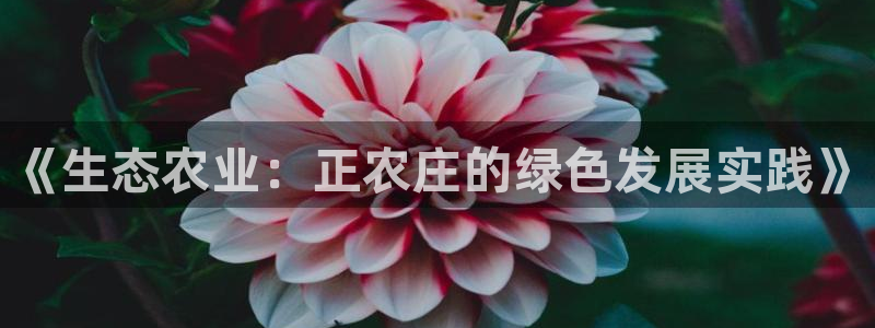 摩根娱乐宝与