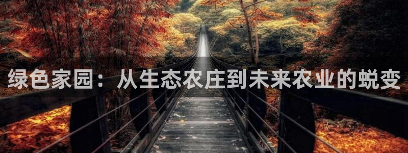 义务摩根娱乐会所电话
