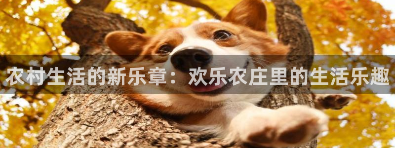 摩根100娱乐会所