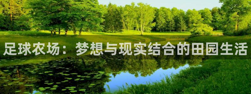 摩根娱乐宝总部招商