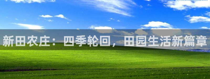 摩根娱乐宝怎么赚钱