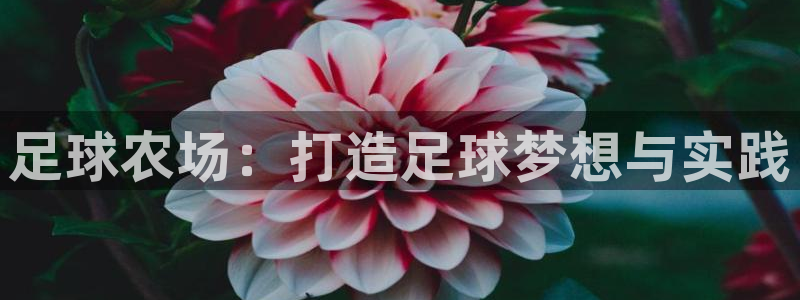 首页摩根娱乐平台