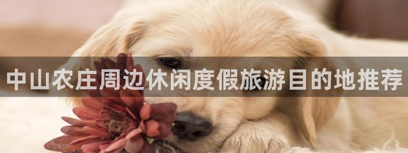 摩根娱乐宝怎么赚钱