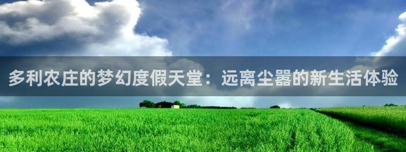 摩根中央公园娱乐