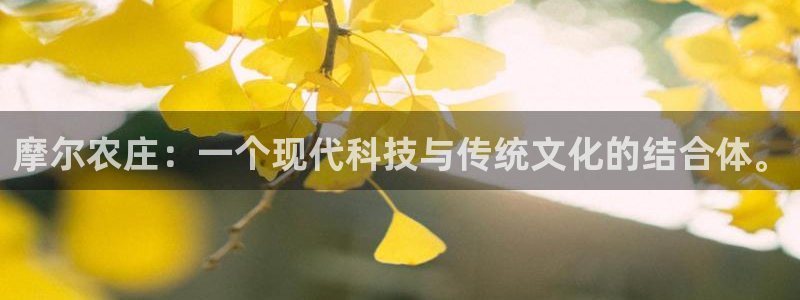 摩根娱乐宝手机客户端