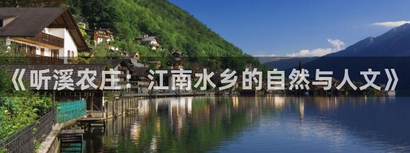 摩根娱乐创始人