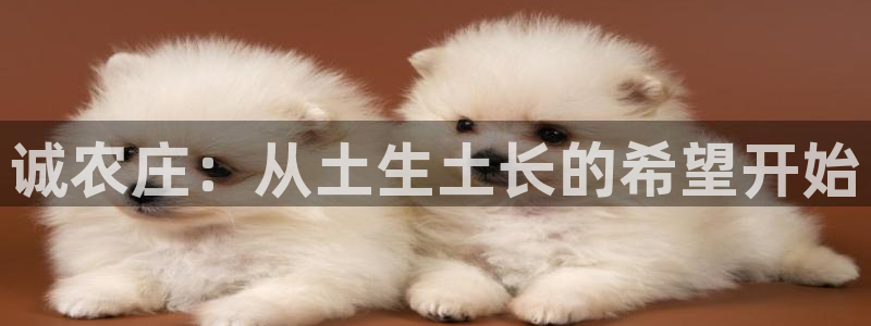 摩根娱乐彩票最忌三种东西