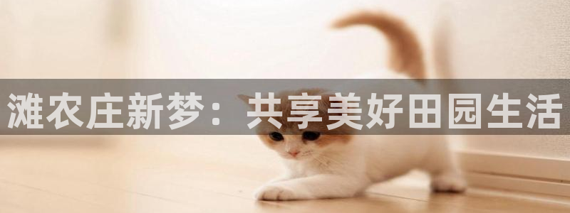 摩根娱乐平台注册