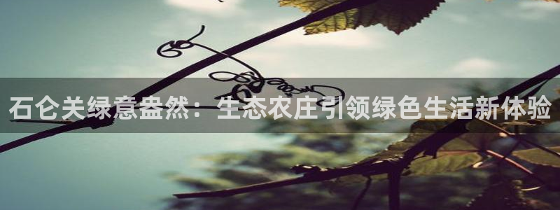 摩根娱乐宝的真假