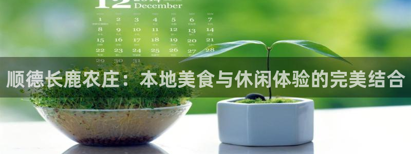 摩根100娱乐会所