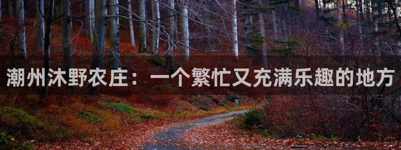 猫眼娱乐摩根士丹利