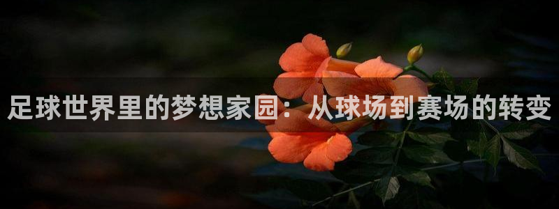 摩根娱乐50186加