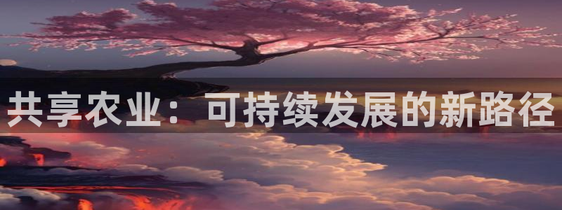 摩根娱乐宝口碑