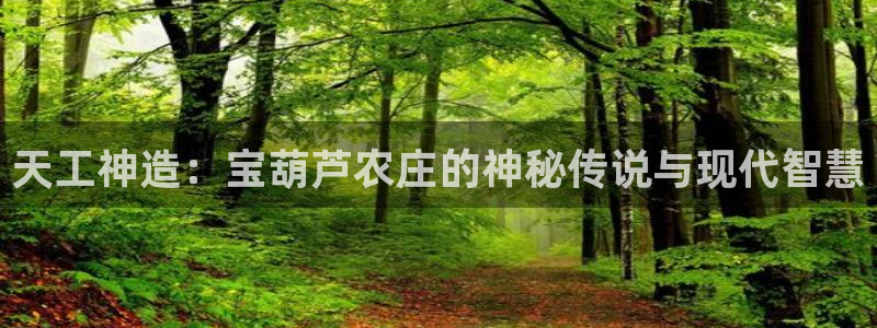 摩根娱乐1老H板50820