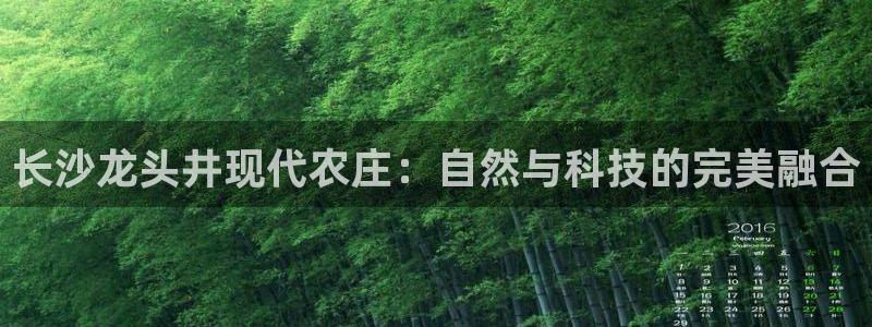 摩根会娱乐会所