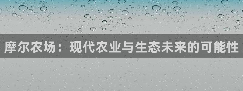 摩根娱乐询问市场总监86738k