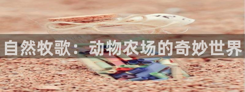 摩根娱乐视频大全