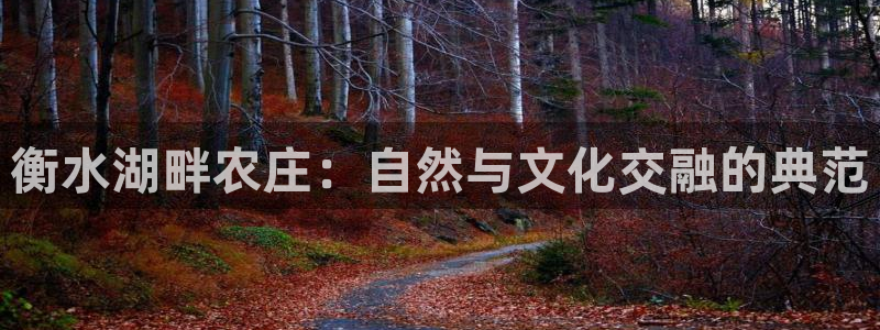 漳州摩根会娱乐